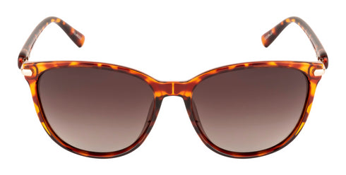 Velocity Oval Gradient Brown POL Polarized Sunglasses
