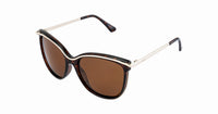 Velocity Sunglasses 6124 Brown Square Sunglass