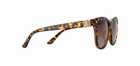 Velocity Sunglasses 1938 Brown Square Sunglass