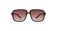 Velocity Sunglasses Brown Square Sunglass
