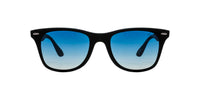 Velocity Sunglasses Polarized 1960 Sunglass
