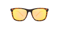 Velocity Sunglasses 1952 Brown Square Sunglass